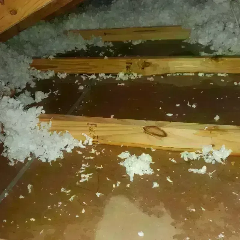 Attic Water Damage in Ascension Parish, LA